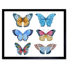 Butterflies Vector Watercolour 12X16 Inch Framed Art Print