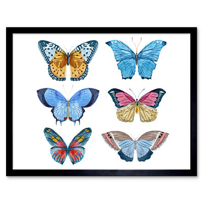 Butterflies Vector Watercolour 12X16 Inch Framed Art Print