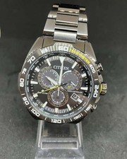 Citizen Promaster Stainless Steel Day Date Eco Drive Solar Mens Watch Authentic