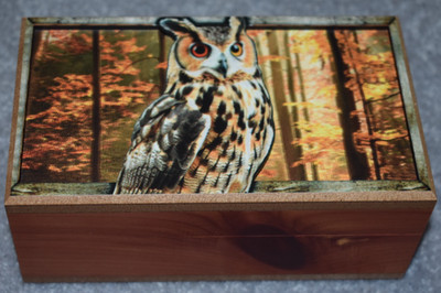 #97220 3D LASER CUT HORNED OWL  KEEPSAKE JEWELRY WOOD CEDAR PICTURE BOX 7'' X 4''