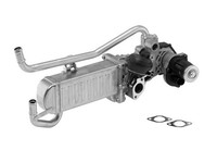 Borgwarner Agr-Modul Oe-Version/ErstausrüStung 710863D FüR VW Polo 5 6R1 6C1 TDI