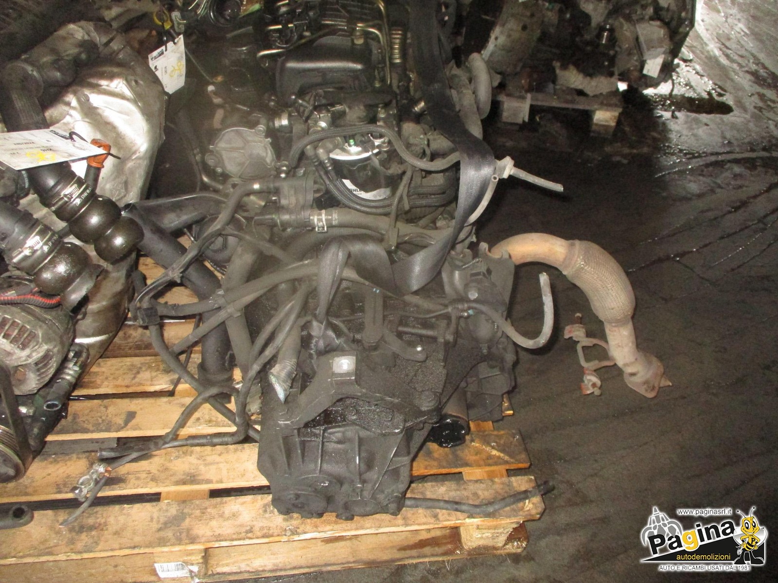 1706946 Cambio compl. G8DD FORD FOCUS (CB4) 1.6 TDCi DPF (80Kw) Ber.