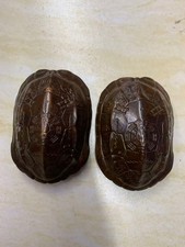 2Pcs WOW Chinese Bronze Hand Made *FenuShui* Turtle Back Statues