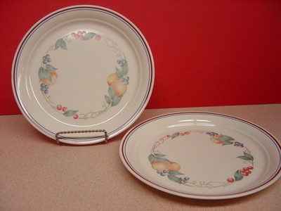 Corning/Corelle China Abundance Zwei Essteller 26cm