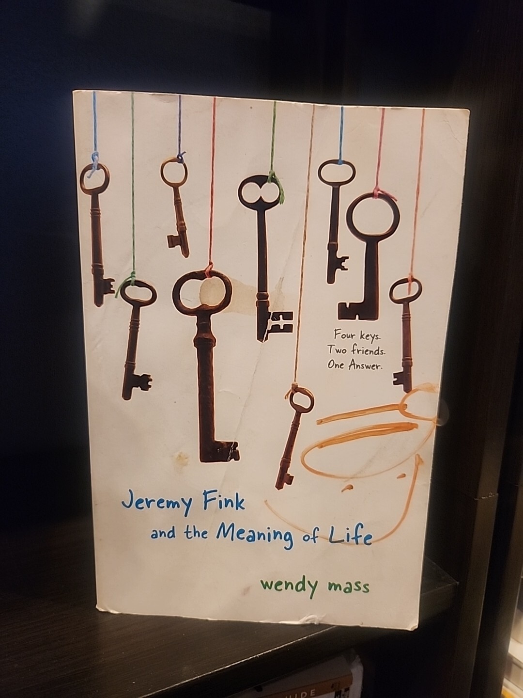 Jeremy fink and the meaning of life by wendy mass trade paperback