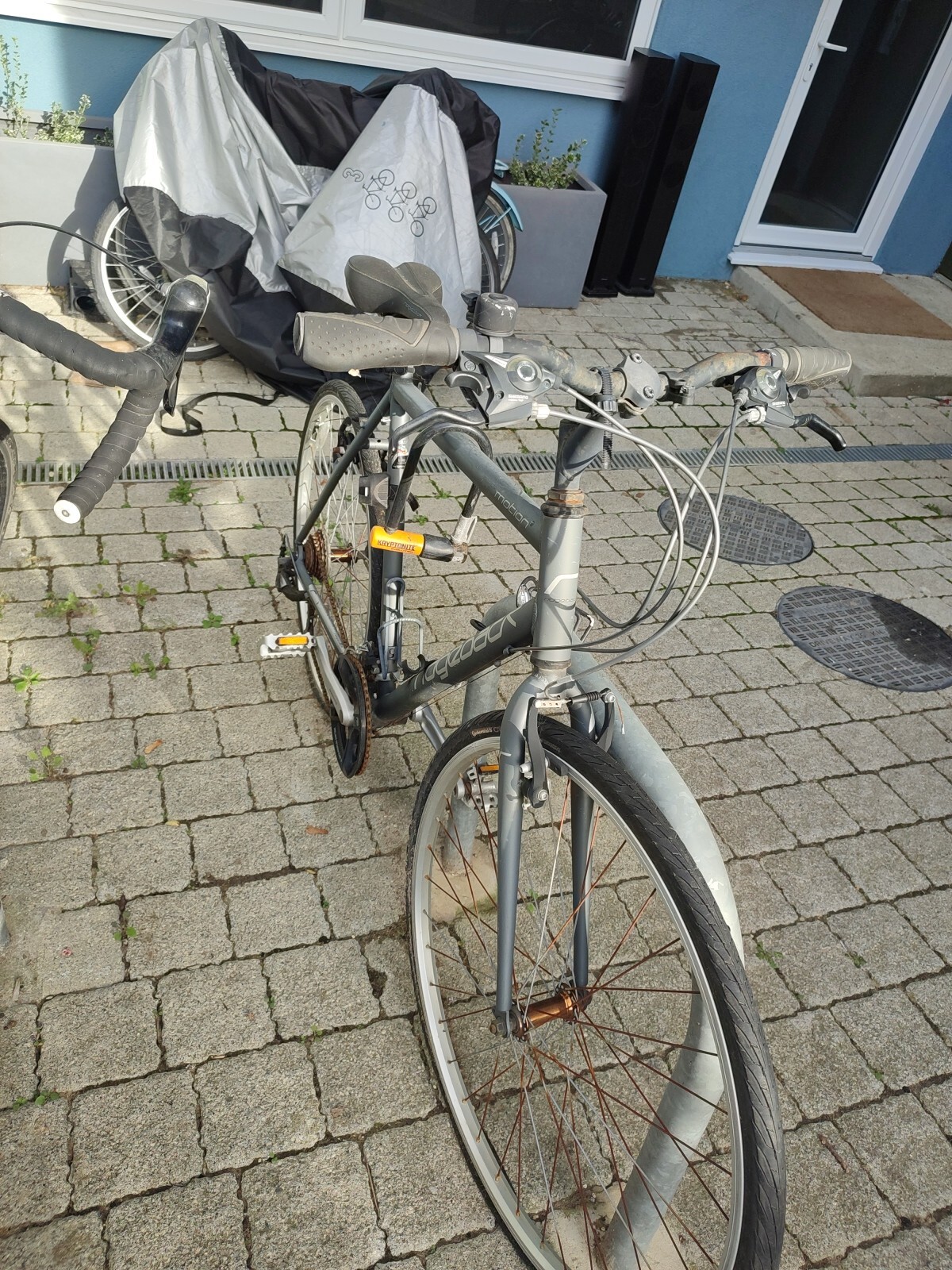 ridgeback rapide motion