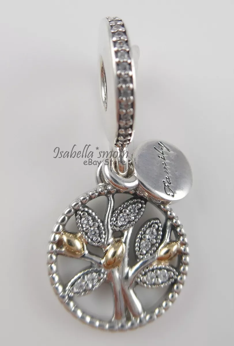 Pandora family shop heritage charm