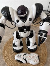 WowWee Robosapien, specifically the classic model first released in 2004