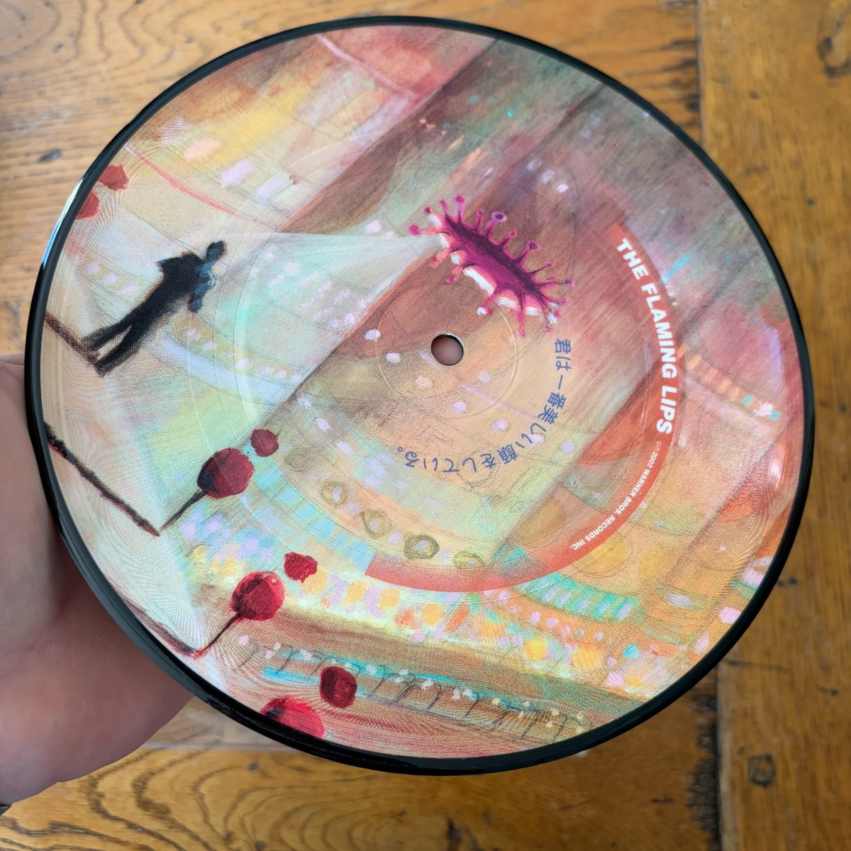The Flaming Lips 7
