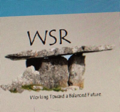Wsr Sign WSR Balance Test Equipment | eBay