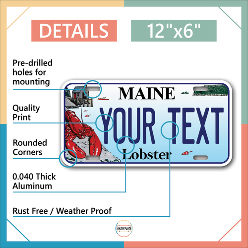Custom state License Plates with personalized text Car 12x6- Moto 7x4 - Bike 6x3 - Picture 218 of 570