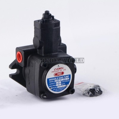 1x New CML Hydraulic Variable Vane Pump VCM-SF-20B-10 *wq