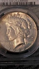 1928 p silver peace dollar PCGS MS 64