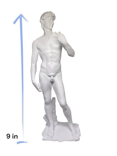 Statue of 9 Inch David by Michelangelo, Renaissance Art,  3D Printed - Picture 1 of 4