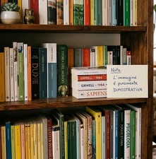 Lotto 50 libri sorpresa generi misti romanzi thriller saggi stock affare