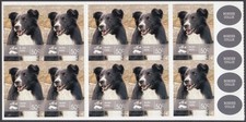 Australia 2008 Working Dogs - Border Collie $5 Booklet SG SB291 perfect mint