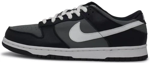 Nike Dunk Pro B Low Oxide