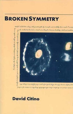Broken Symmetry by David John Citino (English) Paperback Book