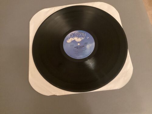 MUDDY WATERS - I'm Ready LP - Blue Sky Records PZ 34928 - EX+ - NM - Picture 14 of 15