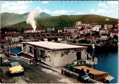 Vintage Postcard Cerbère Hotel La Vigie Pyrenees France Colorful Scene
