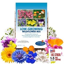 Low Growing Wildflower Seeds Mix - 1oz, 6-12 Inches Short Flowers – Non-GMO  252.00 per gallon