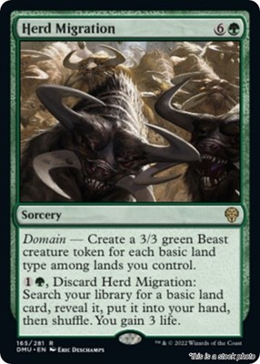 Herd Migration NM [DMU - 165]