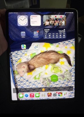 Apple iPad Pro 12.9