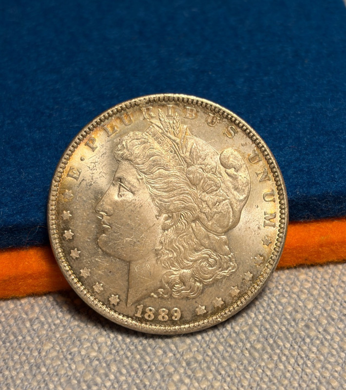 (#103023) Morgan Dollar:  1889.  BU.  PL or semi-PL.       (see video!)