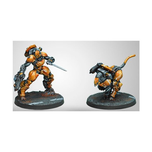 Corvus Belli Infinity Yu Jing 28mm Su-Jian - Immediate Action Unit New