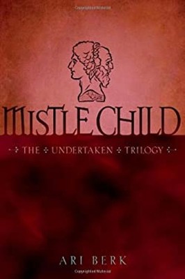 Mistle Child Hardcover Ari Berk