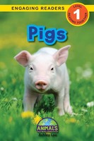 Ashley Lee | Pigs | Taschenbuch | Englisch (2021) | Kartoniert / Broschiert