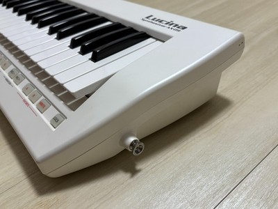 Roland AX-09 Lucina 37-Key Keytar Shoulder Keyboard Synthesizer