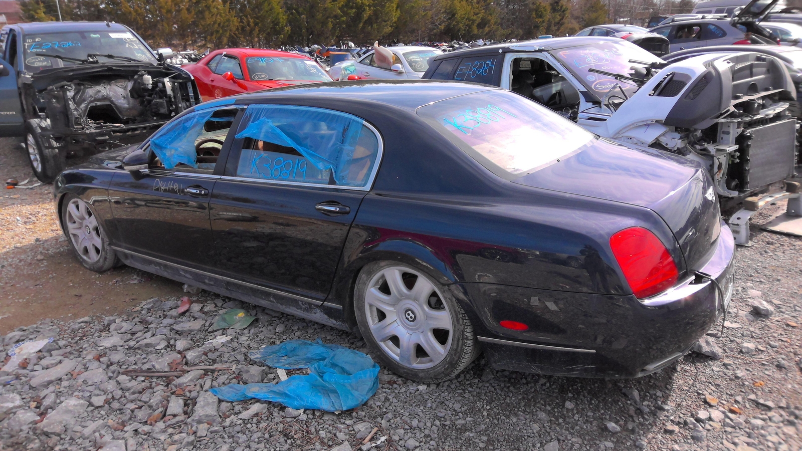 Radiator Support BENTLEY 06