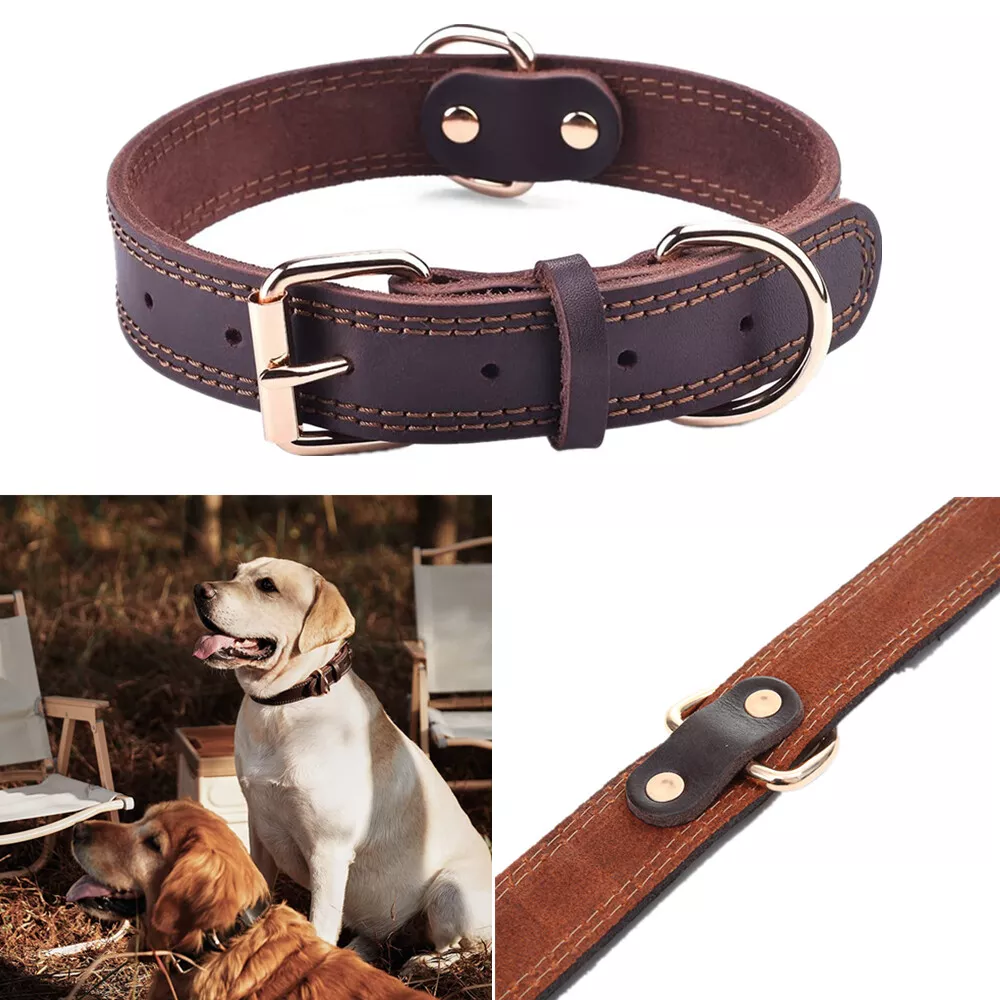 Leather Dog Collar Small Dogs, Large Dog Leather Collar