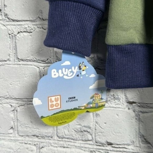 Bluey Boys Holographic Hoodie and Pants Jogger Set Sweatshirt Sweatpants 4T NEW - Picture 13 of 14