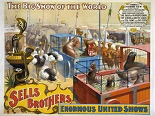 Sells Brothers 1895b Big Show World  Circus  Poster Print  17 x 11  Giclee Print