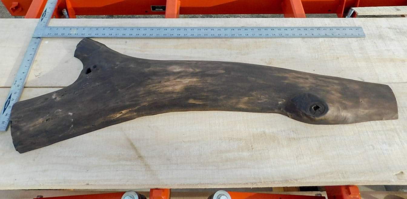 Montana Black Cottonwood Live Edge Rustic Project Ready Shelf Tabletop