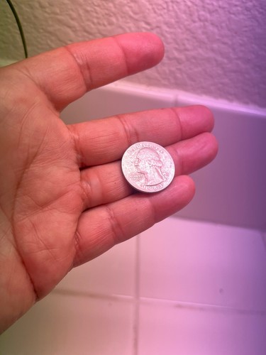 1983 d quarter many rrrors - Picture 2 of 4