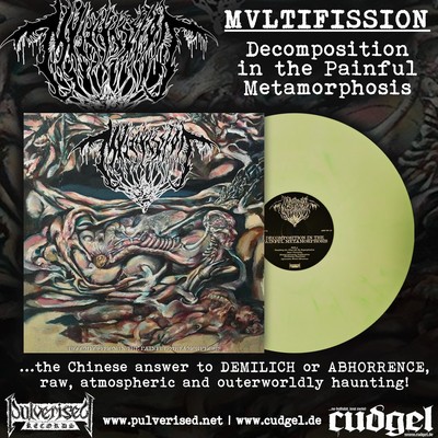 MVLTIFISSION - decomposition in the painful metamorphosis LP