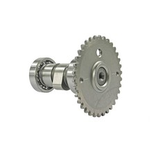 101 Octane Nockenwelle 1 St&uuml;ck passend f&uuml;r Lifan S-Ray 50 4T 2009-2012