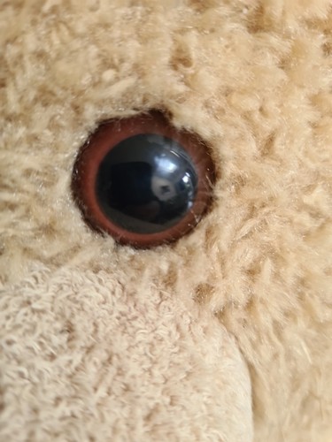 Ted Bear Movie Film TV 24” 61cm Replica Plush Official - Picture 3 of 8