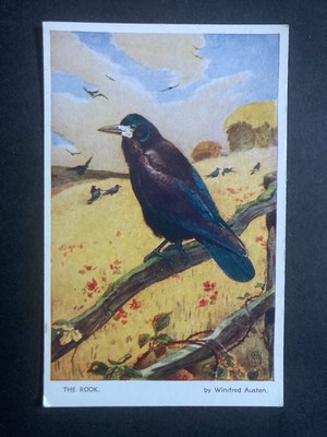 Der Turm von Winifred Austen Vintage Vogel Postkarte P86