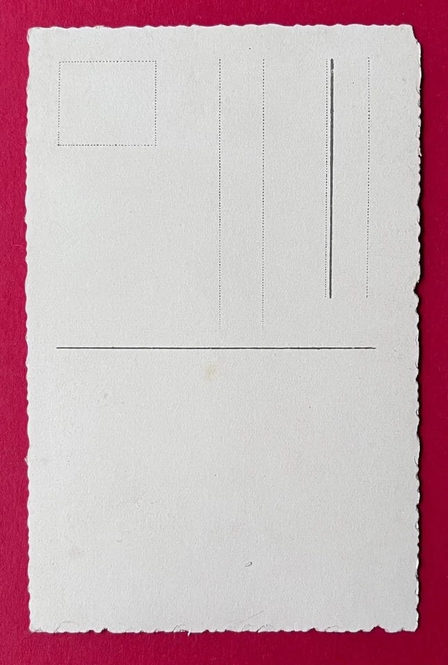 AK SORAU Niederlausitz um 1935 Sorauer Wald mit Bismarckturm ( 166934 - Bild 2 von 2