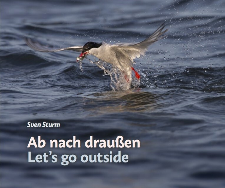 Thumbnail - Ab Nach Draußen / Let's Go Outside Sven Sturm 9783943307184