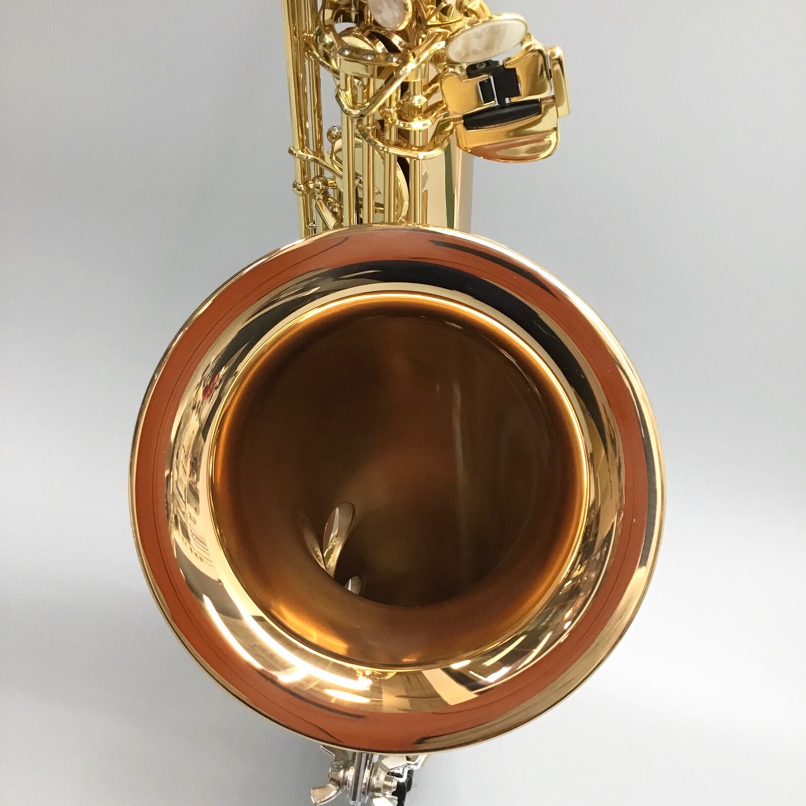 Yanagisawa TWO20 Bronze Brass Elite Professional Tenor Saxophone Heavy