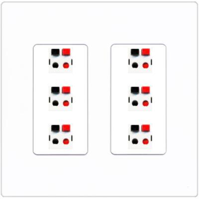 RiteAV 6 Port Speaker Wire Plug Jack Wall Plate - 2 Gang [Screwless White]