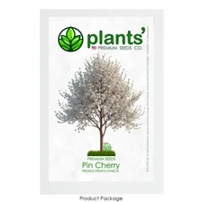 Pin Cherry Tree | Premium Seeds | Prunus pensylvanica 'Spring' | Plants'®
