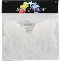 Premier Porcelain Mini Feather Wings, 7 By 6-inch, White, New, Free Shipping on sale Premier Porcelain Mini Feather Wings, 7 By 6-inch, White, New, Free Shipping on sale
