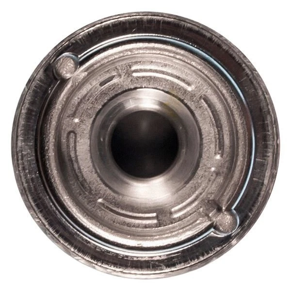 For BMW X5 2014-2018 Mahle In-Line Fuel Filter Foto 4 de 4