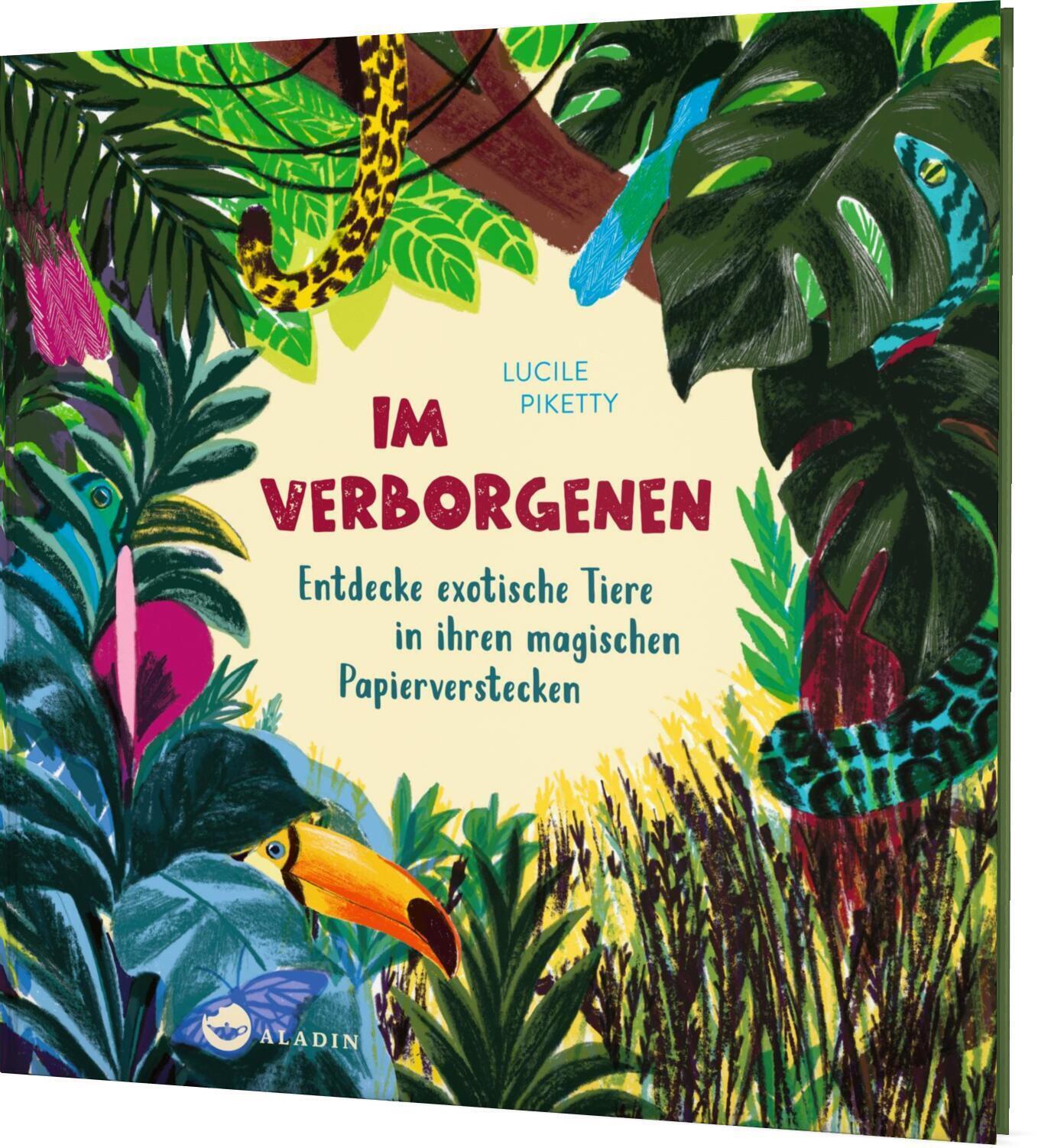 Thumbnail - Lucile Piketty | Verborgenen | Buch | Deutsch (2022) | 12 S. | Aladin